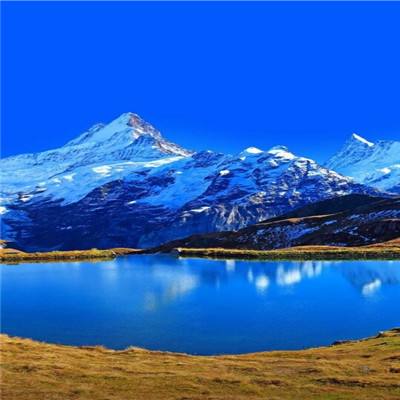 万博最新ManBetX网页版登录