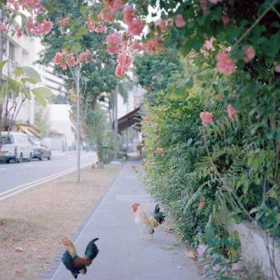 快盈lV购彩大厅app下载