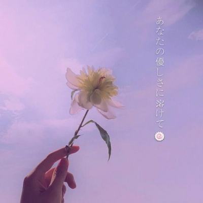 博鱼综合体育官网登录