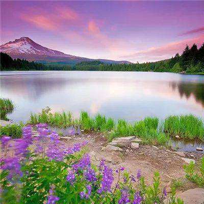 手游赏金女王免费下载