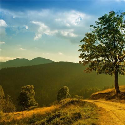 ng体育电子游戏app下载