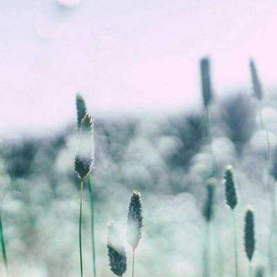 博鱼APP官方网站截图