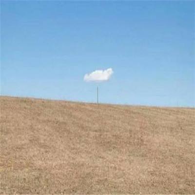 kaiyun体育全站手机app下载