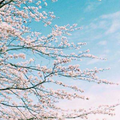 天博官网APP下载截图